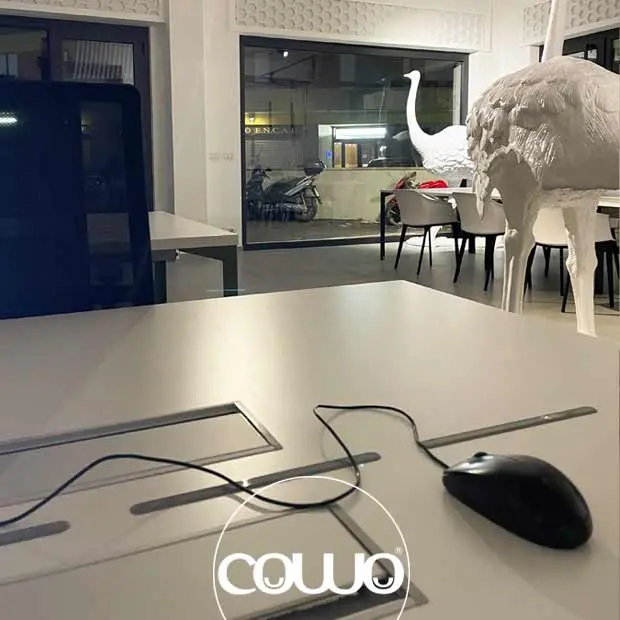 34849_coworking-roma-colli-albani-7